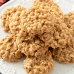 Peanut Butter No Bake Cookies 18 Peanut Butter No Bake Cookies