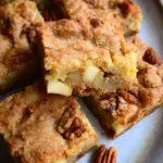 Apple Brownies 24 Apple Brownies