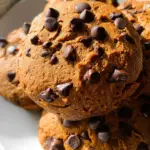 Healthy Pumpkin Chocolate Chip Cookies 23 Healthy Pumpkin Chocolate Chip Cookies