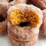Pumpkin Cinnamon Sugar Donuts 25 Pumpkin Cinnamon Sugar Donuts