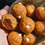 Pumpkin Pie Protein Balls 20 Pumpkin Pie Protein Balls