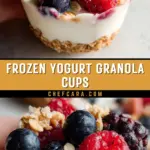 Frozen Yogurt Granola Cups 16 Pinterest Hidden Image