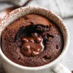 The Best Chocolate Mug Cake
