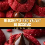Hershey's Red Velvet Blossoms 23 Pinterest Hidden Image