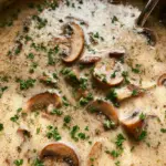 Cream of Mushroom Soup
