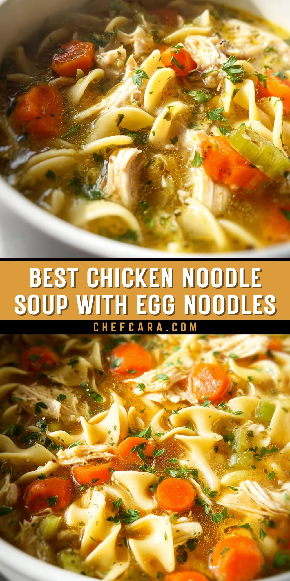 Best Chicken Noodle Soup with Egg Noodles 22 Pinterest Hidden Image