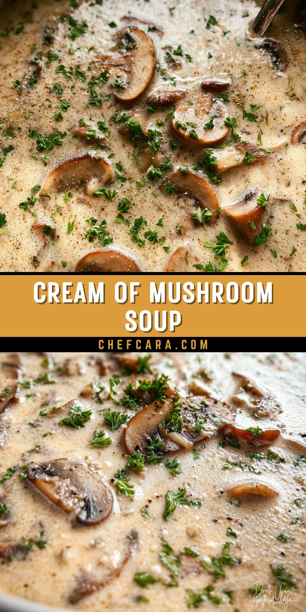 Cream of Mushroom Soup 21 Pinterest Hidden Image